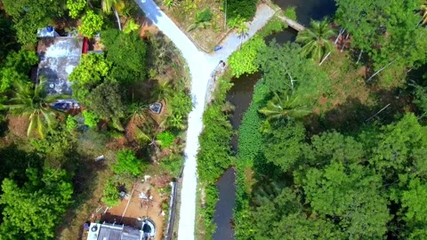 High-angle aerial drone shot of a white bifurcated road through a lush tropical Vidéo 331751964