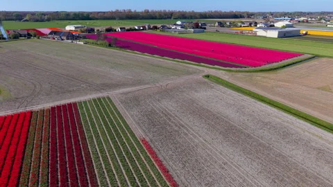 High-angle aerial drone shot of a diverse agricultural patchwork landscape Video stock 336278835