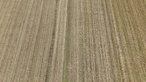 High angle aerial drone view flying over harvested agricultural field in Sweden Stock Footage 323863489