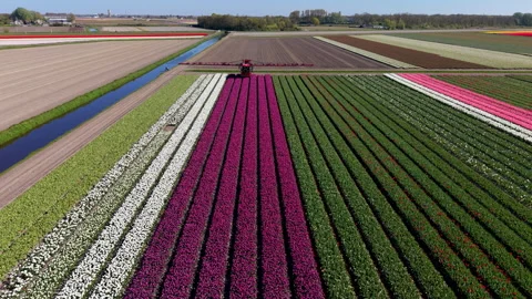 A high-angle aerial drone view focusing on an agricultural field sprayer Video stock 336279110
