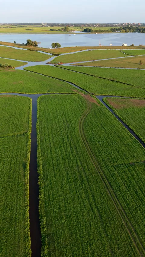 High-angle aerial drone view of green polder fields, drainage canals Vídeo Stock 347130258