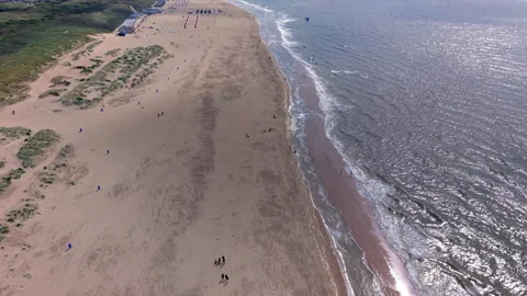 High-angle aerial drone view of Katwijk aan Zee sandy beach and coastal dunes 動画素材 347326872