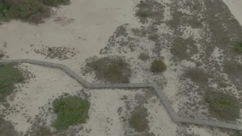 High angle aerial over board walk on white sandy beach with green brush Stock Footage 175952209