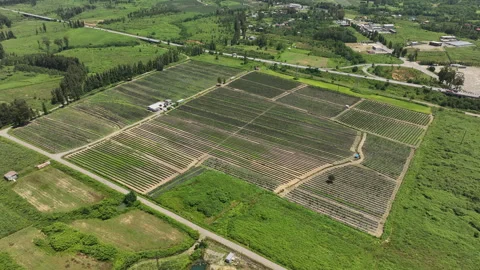 High-angle aerial panorama of a vast agricultural field and highway. Stock Footage 339592983
