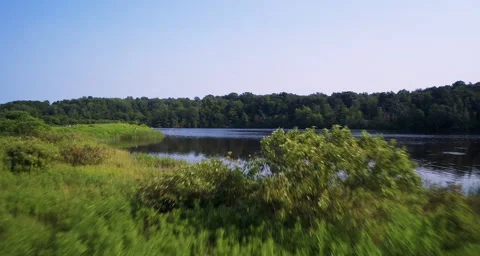 High angle aerial revealing trees along the water Stock Footage 54707567