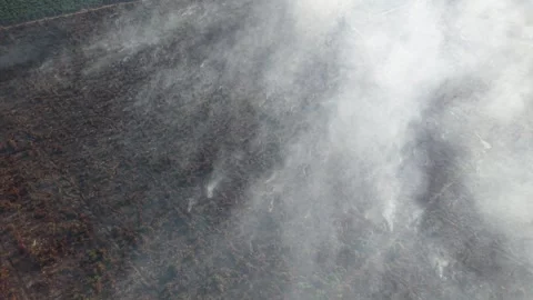High-angle aerial scene of fire spreading through peat soil Stock-Footage 333038456