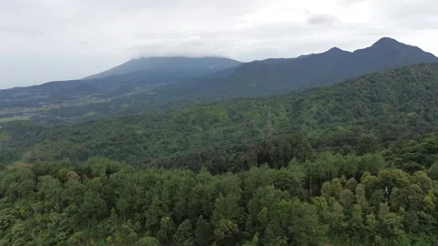 High-Angle Aerial Shot of Mountain Range and Dense Forest Stock Footage 343858510