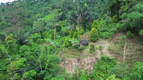 High-Angle Aerial Shot of Small Hut in Mountain Forest Stock Footage 343331647