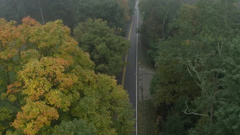 High angle Aerial of two lane road in New Jersey in Fall with car driving below Vidéo 204955737