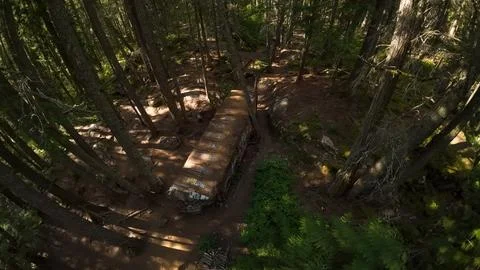 High angle aerial view along the roof of a graffiti train car in a forest 스톡 사진