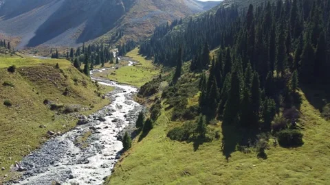 High angle aerial view of Arashan river valley with spruce forest and mountains Vidéo 334623706