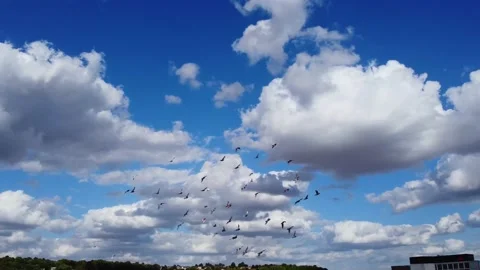 High Angle Aerial view of British Town Luton England Stock Footage 221159482