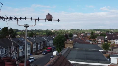 High Angle Aerial view of British Town Luton England Stock Footage 221193030