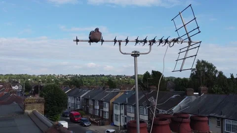 High Angle Aerial view of British Town Luton England Stock Footage 221193288