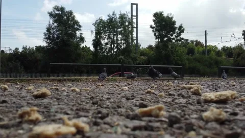 High Angle Aerial view of British Town Luton England Stock Footage 221193526