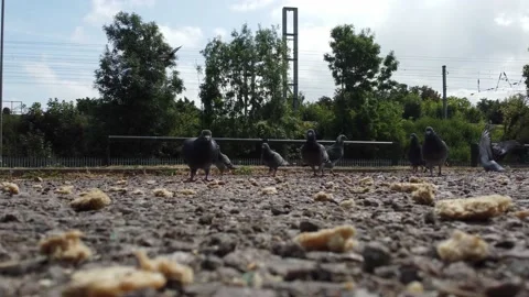 High Angle Aerial view of British Town Luton England Video stock 221193542