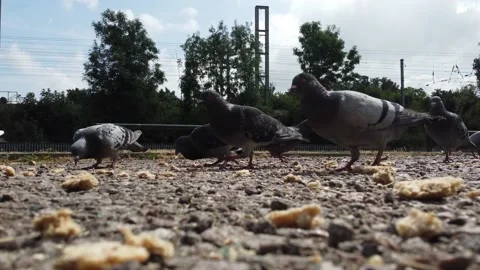 High Angle Aerial view of British Town Luton England Video stock 221195593