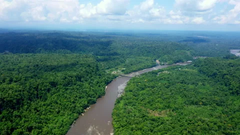 High angle aerial view of broad river and a cable-stayed bridge Stock Footage 234944652