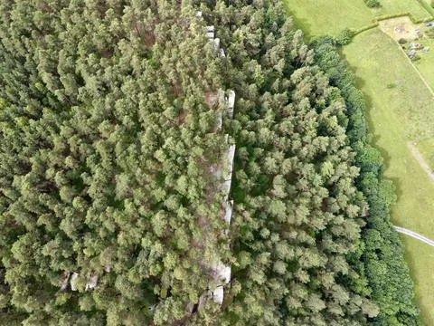 High angle aerial view of dense pine forest beside rocky ridge and green pa.. Stockfoto's