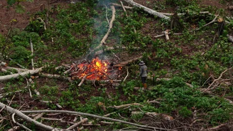 High angle aerial view of a farmer clearing land for agriculture. Slash and burn Stock Footage 324378451