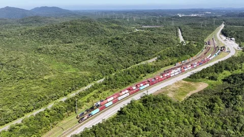High-Angle Aerial View of Freight Trains at Railway Yard in Atlantic Forest Vídeos de archivo 344601842