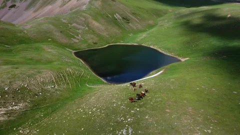 High angle aerial view of horses running near mountain tarn in Kazakhstan 库存影片 337135619