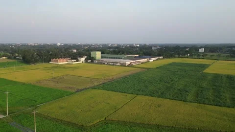 High angle aerial view of industrial factory surrounded by green and golden.. Vídeo Stock 345523776