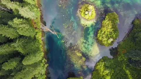 A high angle aerial view looking straight down at a green lake or river with Видео 83594834