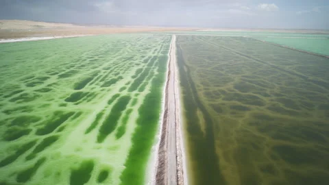 High-Angle Aerial View of Mangya Emerald Lake in Qingha 스톡 동영상 343797405