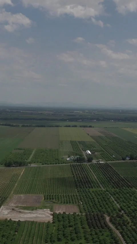 High angle aerial view of a patchwork of fertile green farmland orchards and Video stock 334591320