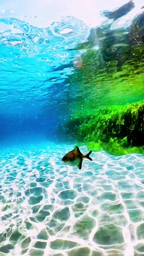 High-Angle Aerial View of a Pristine Tropical Beach and Lush Green Coastline Video stock 336666595