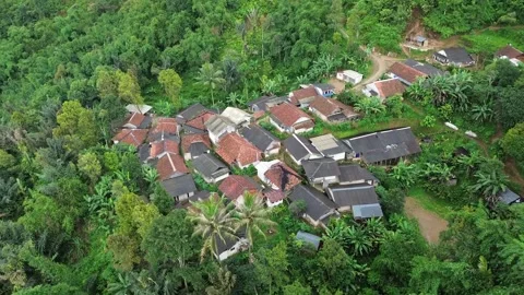 High-Angle Aerial View of Rural Forest Village Rooftops Stock Footage 343858645