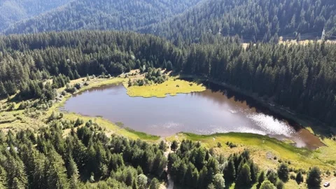 High angle aerial view of a scenic mountain lake surrounded by dense pine forest 動画素材 342809332