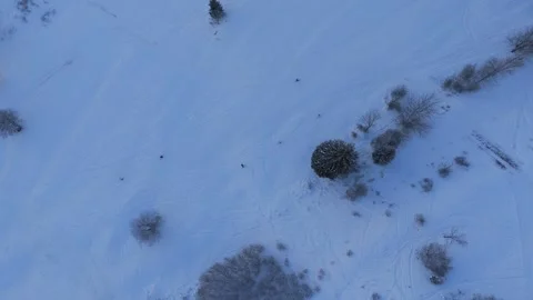 High Angle Aerial View of Skiers Descending Snowy Mountain Slope Video stock 336384388