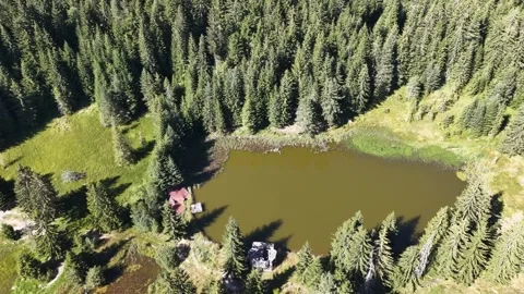 High angle aerial view of a small wooden cabin by a peaceful mountain lake in pi 库存影片 342810464