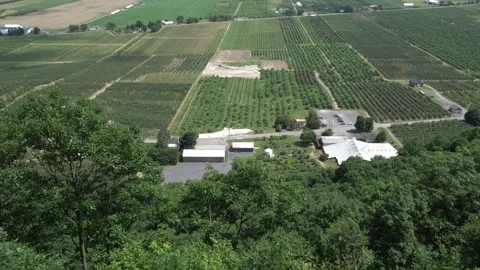 High-angle aerial view of a sprawling apple orchard and farmland Stock Footage 334592229