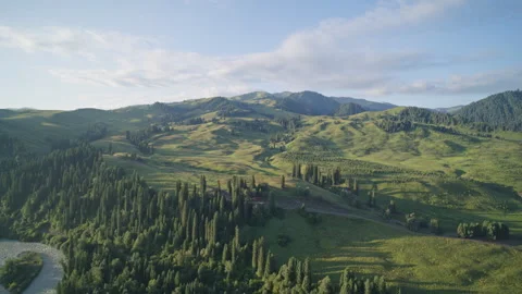 High-Angle Aerial View of Tangbula Gallery forest in Nilka, Xinjiang at Sunrise Stock Footage 345489392