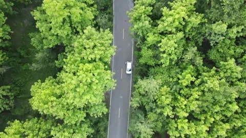 High angle aerial view of a white car driving on a lonely road Video stock 308233884