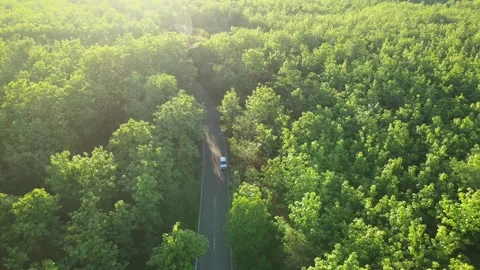 High angle aerial view of a white car driving on a lonely road Stock Footage 308234046