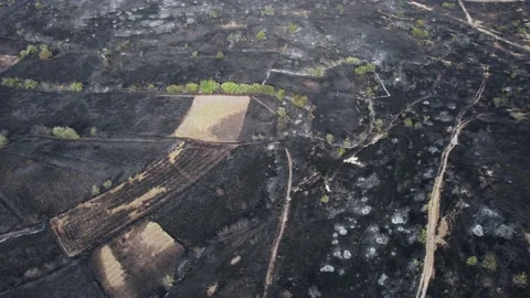 High angle of ash-covered fields. Stock Footage 159603036