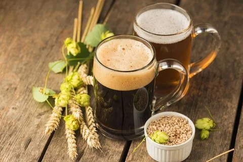 High angle beer mugs wheat Stock Photos