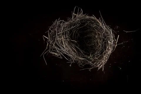 High Angle of a Bird Nest on a Dark Surface Foto stock