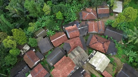 High-Angle Bird's-Eye View of Forest Village and Dense Canopy Stock Footage 343858484