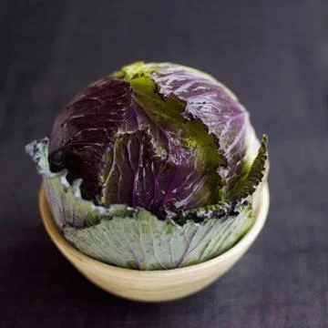 High angle close up of a cabbage Stock Photos