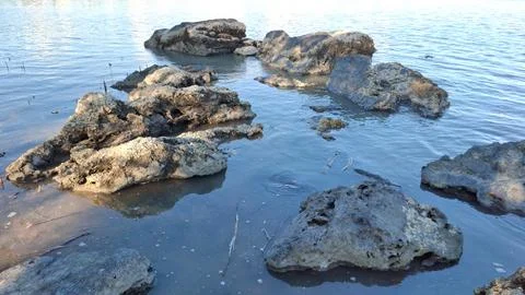 High Angle Close Up of Coral Rocks in Shallow Coastal Water Stock Photos