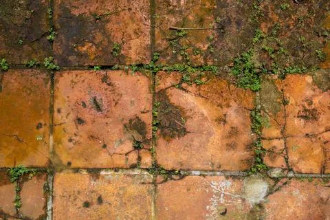 High angle close-up of old orange terracotta floor tiles with cracks Stock Photos