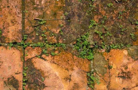 High angle close-up of old orange terracotta floor tiles with cracks Stock Photos