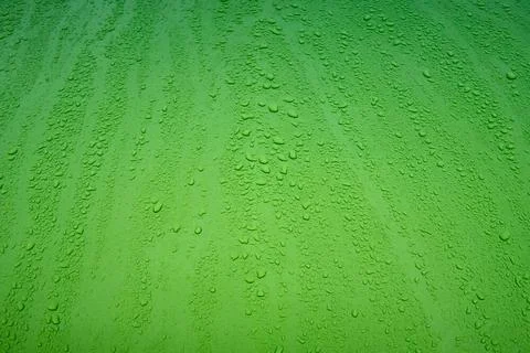 High angle close-up of raindrops on shiny car hoods of different colors hi... Stock Photos