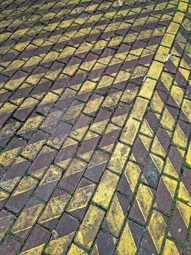 High-angle, close-up shot of rectangular paving stones. The stones are weat.. Stock Photos