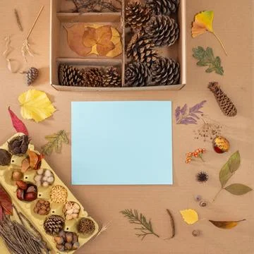 High-angle close-up of various nature materials for school art project on t.. Foto stock